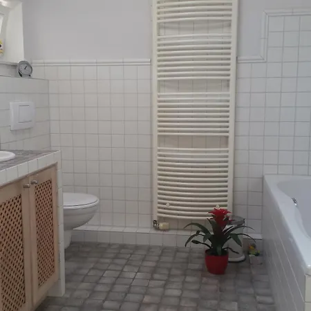 Apartment Fusslaeufig Zum Siebengebirge Und Direkt Am Rhein - Renovierte